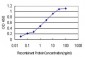 ANXA5 Antibody (monoclonal) (M01)