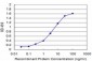 API5 Antibody (monoclonal) (M01)