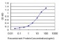 APLN Antibody (monoclonal) (M01)