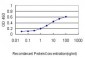 ARF5 Antibody (monoclonal) (M01)