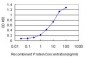 ARHGDIA Antibody (monoclonal) (M02)