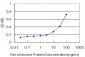 ARHGEF1 Antibody (monoclonal) (M02)