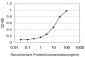 ARHGEF1 Antibody (monoclonal) (M03)