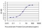 ARMCX1 Antibody (monoclonal) (M01)