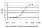 ARNT Antibody (monoclonal) (M01)