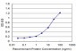 ARRB2 Antibody (monoclonal) (M06)