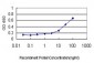 ARX Antibody (monoclonal) (M01)