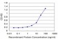 ARX Antibody (monoclonal) (M04)