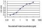 ASNA1 Antibody (monoclonal) (M03)