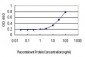 ATF3 Antibody (monoclonal) (M04)