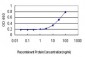 ATF3 Antibody (monoclonal) (M04)