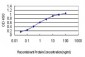 ATF4 Antibody (monoclonal) (M01)