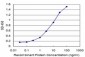 ATP13A2 Antibody (monoclonal) (M06)