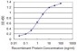 ATP2A1 Antibody (monoclonal) (M01)