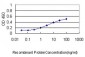 ATP7B Antibody (monoclonal) (M01)