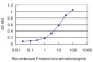 BAAT Antibody (monoclonal) (M02)