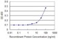 BANF1 Antibody (monoclonal) (M07)