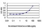 BARD1 Antibody (monoclonal) (M01)