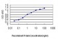 BCAR3 Antibody (monoclonal) (M01)