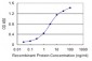 BCAS1 Antibody (monoclonal) (M03)