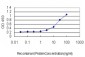 BCAS2 Antibody (monoclonal) (M01)