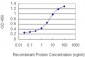 BCL11A Antibody (monoclonal) (M03)