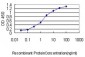 BCL2L1 Antibody (monoclonal) (M01)