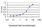 BGLAP Antibody (monoclonal) (M01)