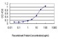 BGLAP Antibody (monoclonal) (M01)