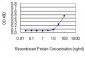 BGN Antibody (monoclonal) (M01)