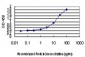 BLVRB Antibody (monoclonal) (M09)