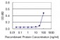 BMP7 Antibody (monoclonal) (M03)