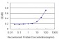 BRMS1 Antibody (monoclonal) (M01)