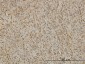 BUB1B Antibody (monoclonal) (M01)