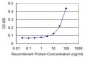 C1QTNF1 Antibody (monoclonal) (M01)