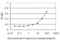 C3 Antibody (monoclonal) (M01)