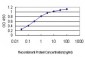 CA1 Antibody (monoclonal) (M02)