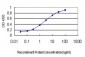 CA1 Antibody (monoclonal) (M05)