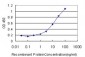 CA12 Antibody (monoclonal) (M01)