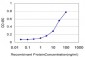 CACYBP Antibody (monoclonal) (M01)