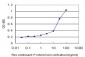 CAMK2A Antibody (monoclonal) (M03)