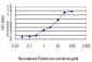 CANT1 Antibody (monoclonal) (M01)