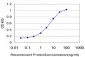 CARD14 Antibody (monoclonal) (M01)