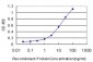 CARF Antibody (monoclonal) (M02)