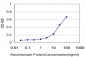 CASP14 Antibody (monoclonal) (M01)