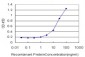 CAV3 Antibody (monoclonal) (M03)