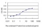 CBS Antibody (monoclonal) (M01)