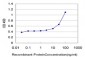 CBX2 Antibody (monoclonal) (M04)