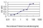 CBX3 Antibody (monoclonal) (M01)