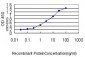 CBX5 Antibody (monoclonal) (M01)